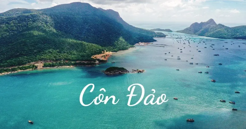 bảo vệ hệ sinh thái Côn Đảo