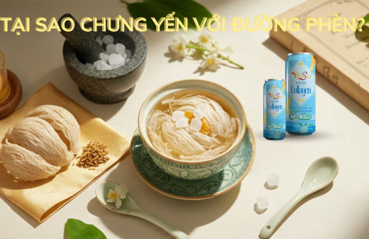 Tại sao chưng yến với đường phèn?