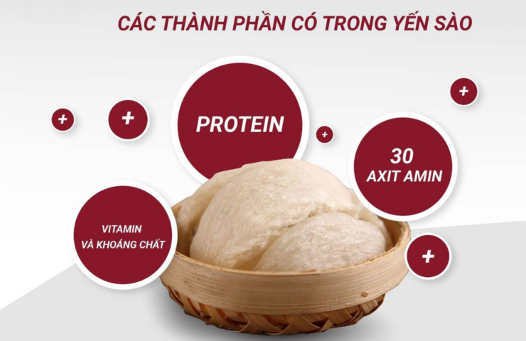 Protein trong nước yến