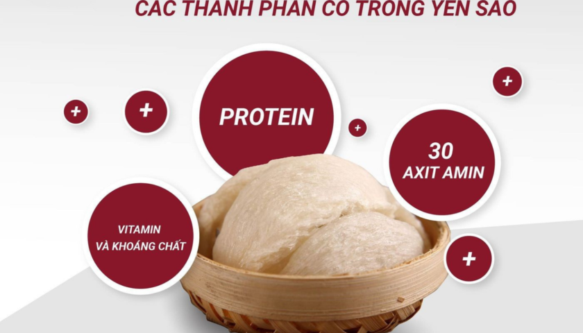 Protein trong nước yến