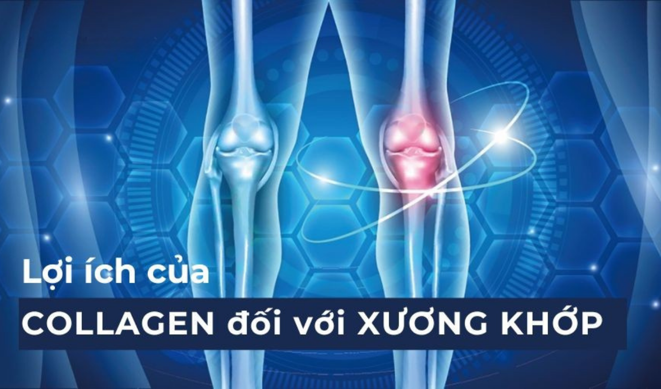 tác dụng collagen với xương khớp