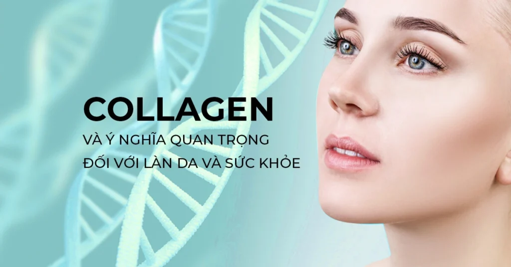 Collagen ảnh hưởng đến da như thế nào