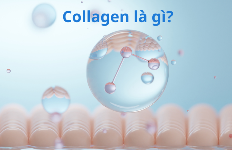 collagen-la-gi