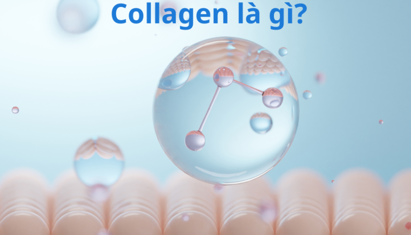 collagen-la-gi