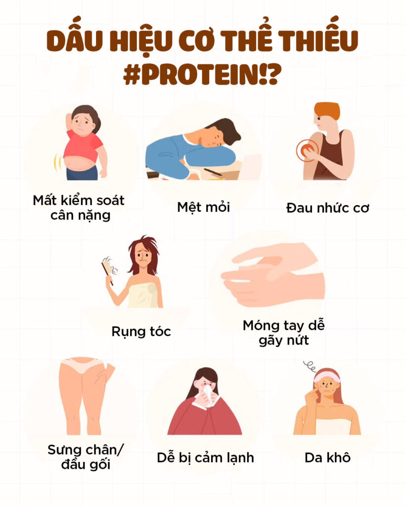 thiếu protein