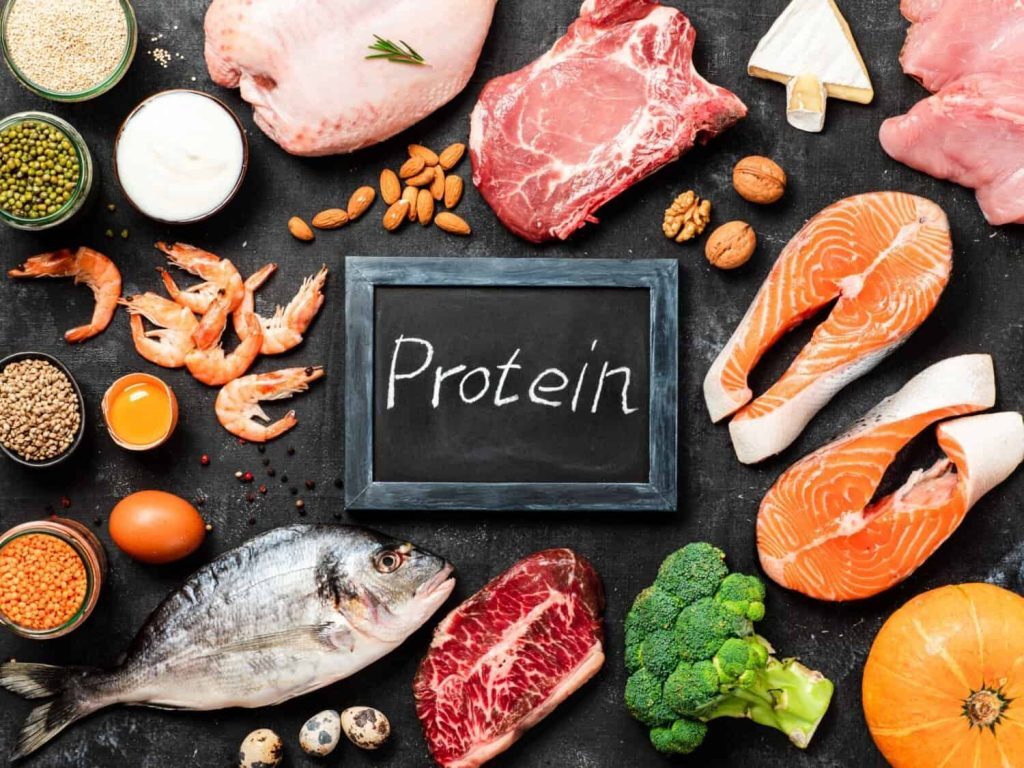 Cơ thể sử dụng protein như thế nào