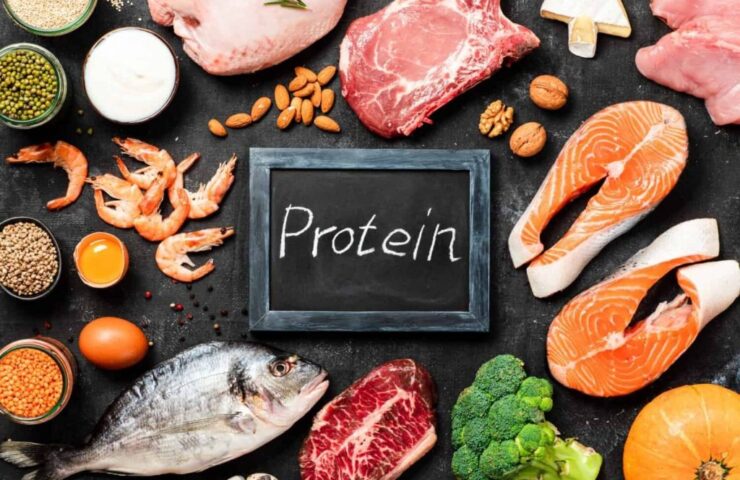 Cơ thể sử dụng protein như thế nào