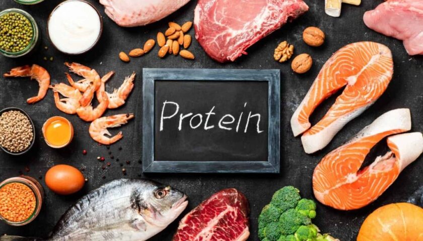 Cơ thể sử dụng protein như thế nào