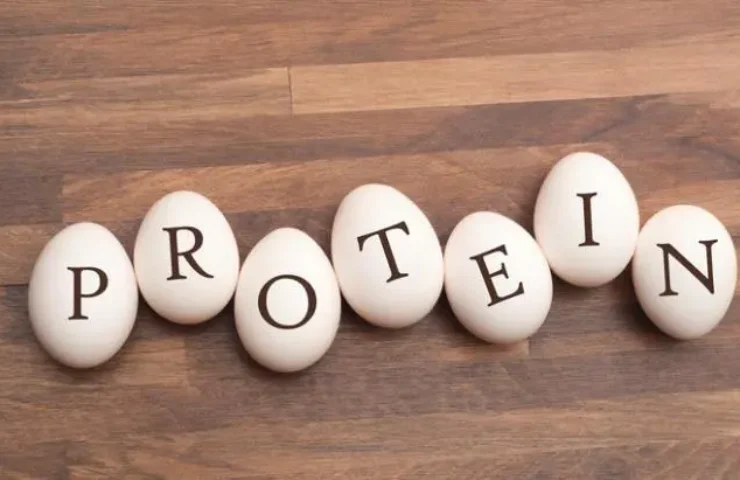 protein trong yến sào