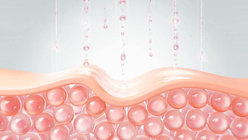 collagen kết hợp cùng protein từ yến