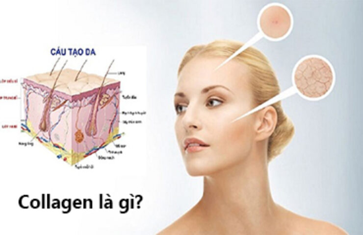 Tác dụng của Collagen đối với người hay thức khuya