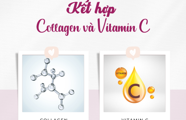 sự kết hợp giữa collagen và vitamin c