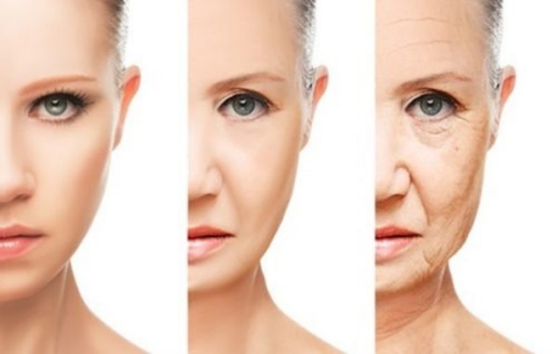 collagen kết hợp cùng protein từ yến