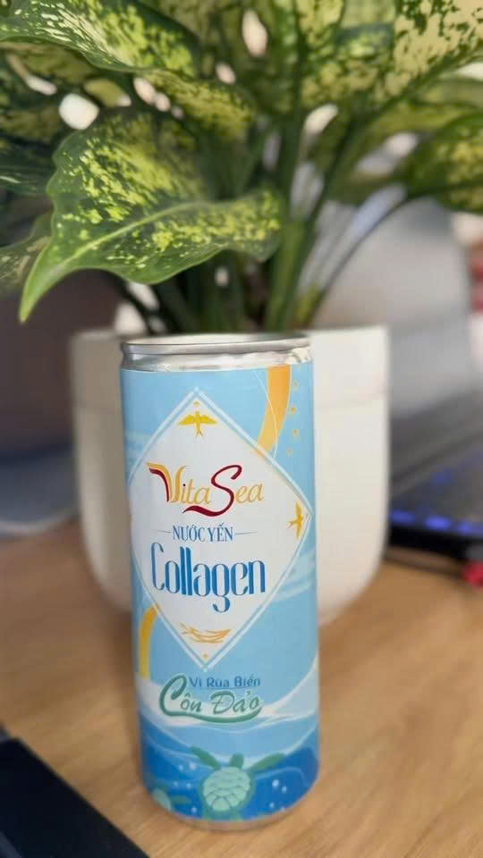 chiến lược phân phối của VitaSea